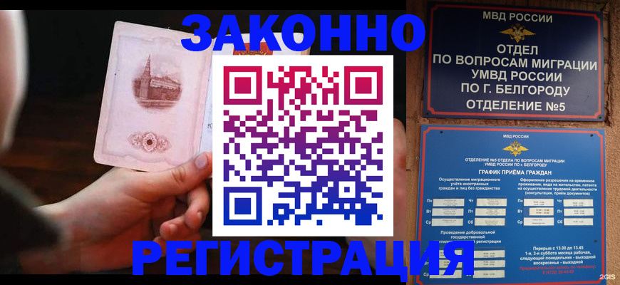 прописка 2025 в Саранске